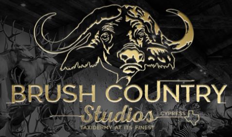 Brush Country Studios Logo